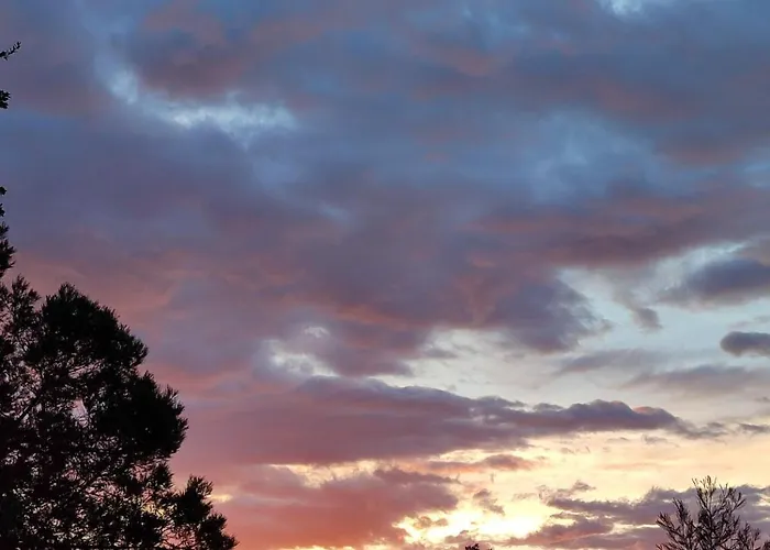 公寓 Casa Di Cortanni Castellare-di-Casinca