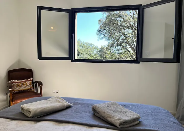 公寓 Casa Di Cortanni *